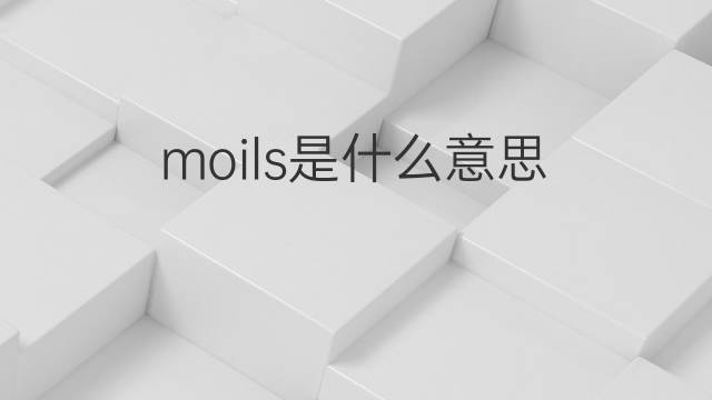 moils是什么意思 moils的翻译、读音、例句、中文解释