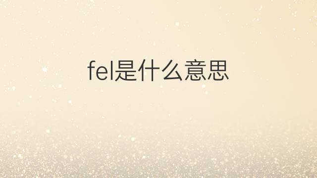 fel是什么意思 fel的中文翻译、读音、例句