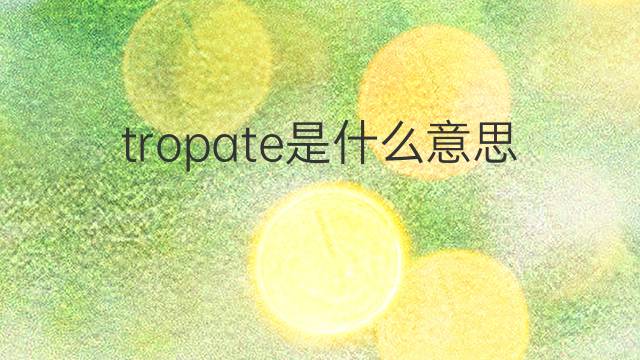 tropate是什么意思 tropate的中文翻译、读音、例句