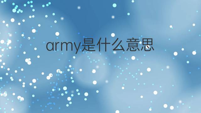army是什么意思 army的中文翻译、读音、例句