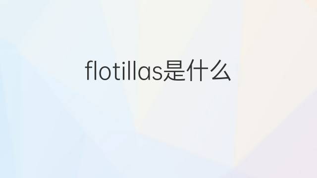 flotillas是什么意思 flotillas的中文翻译、读音、例句