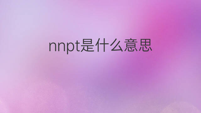 nnpt是什么意思 nnpt的中文翻译、读音、例句