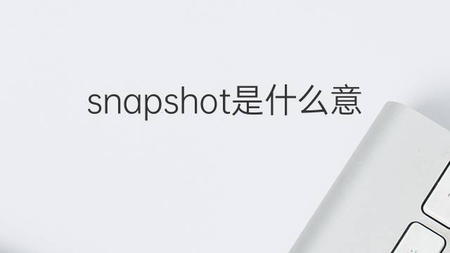 snapshot是什么意思 snapshot的中文翻译、读音、例句