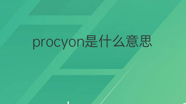 procyon是什么意思 procyon的中文翻译、读音、例句