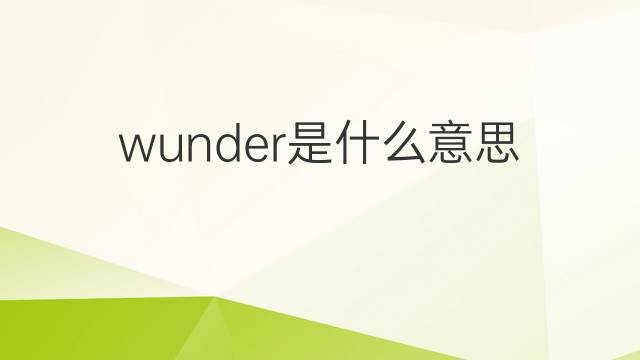wunder是什么意思 wunder的翻译、读音、例句、中文解释