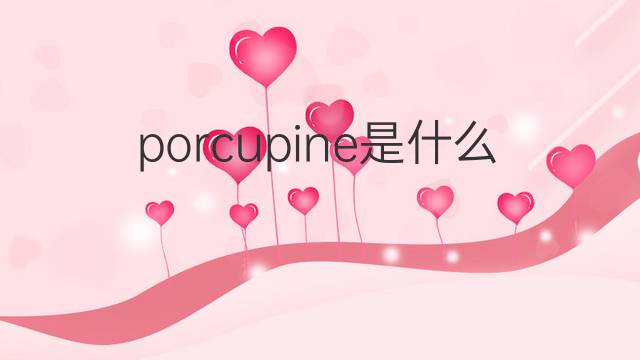 porcupine是什么意思 porcupine的中文翻译、读音、例句