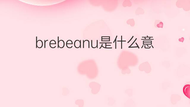 brebeanu是什么意思 brebeanu的中文翻译、读音、例句