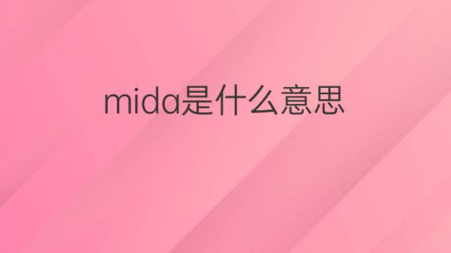 mida是什么意思 mida的中文翻译、读音、例句