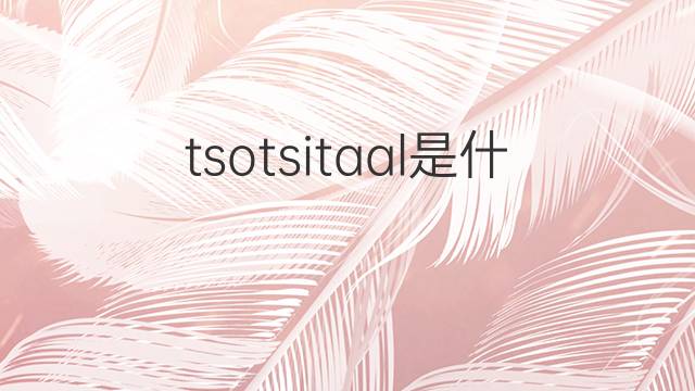 tsotsitaal是什么意思 tsotsitaal的中文翻译、读音、例句