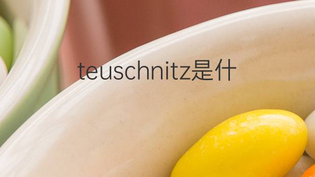 teuschnitz是什么意思 teuschnitz的中文翻译、读音、例句