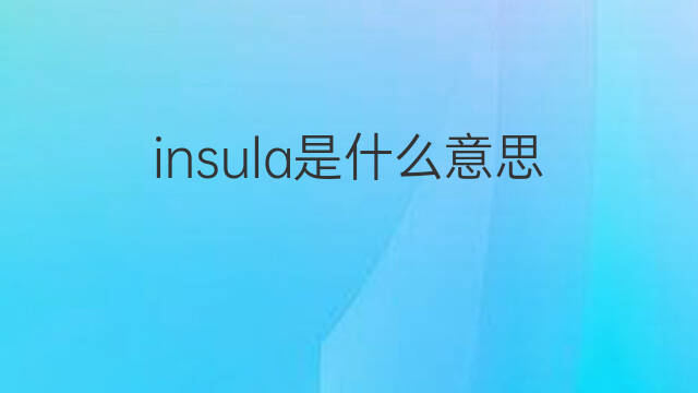 insula是什么意思 insula的中文翻译、读音、例句