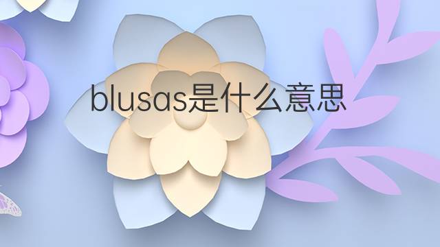 blusas是什么意思 blusas的中文翻译、读音、例句
