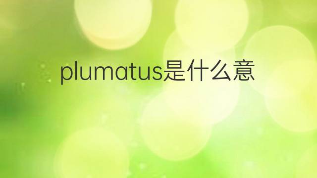plumatus是什么意思 plumatus的中文翻译、读音、例句