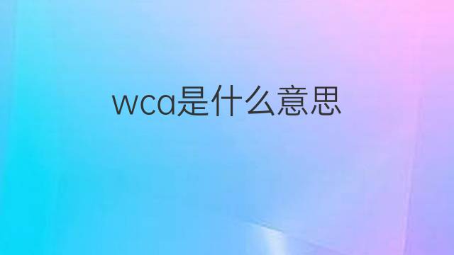 wca是什么意思 wca的中文翻译、读音、例句