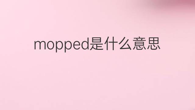 mopped是什么意思 mopped的中文翻译、读音、例句