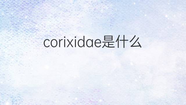 corixidae是什么意思 corixidae的中文翻译、读音、例句