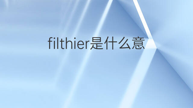 filthier是什么意思 filthier的中文翻译、读音、例句