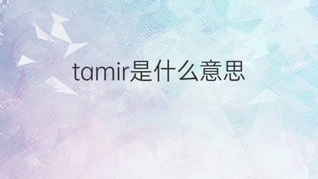 tamir是什么意思 tamir的中文翻译、读音、例句