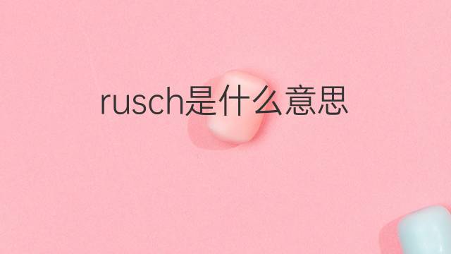 rusch是什么意思 英文名rusch的翻译、发音、来源