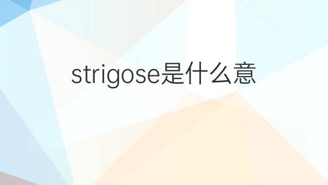 strigose是什么意思 strigose的中文翻译、读音、例句