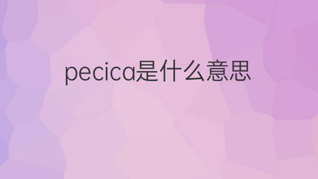 pecica是什么意思 pecica的中文翻译、读音、例句