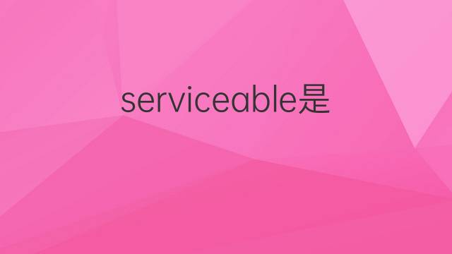 serviceable是什么意思 serviceable的中文翻译、读音、例句