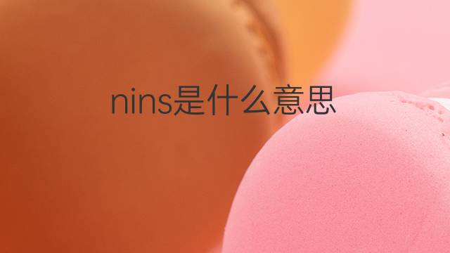 nins是什么意思 nins的翻译、读音、例句、中文解释