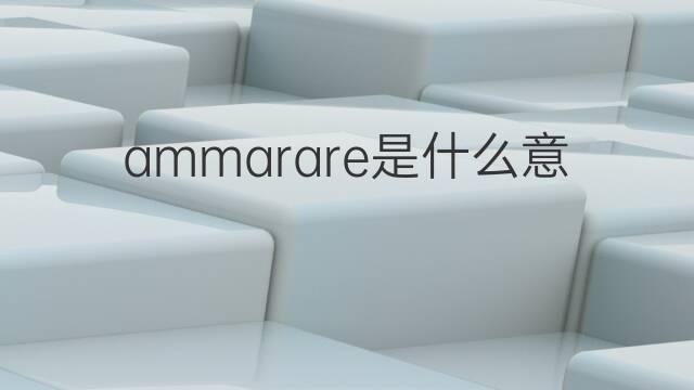 ammarare是什么意思 ammarare的中文翻译、读音、例句