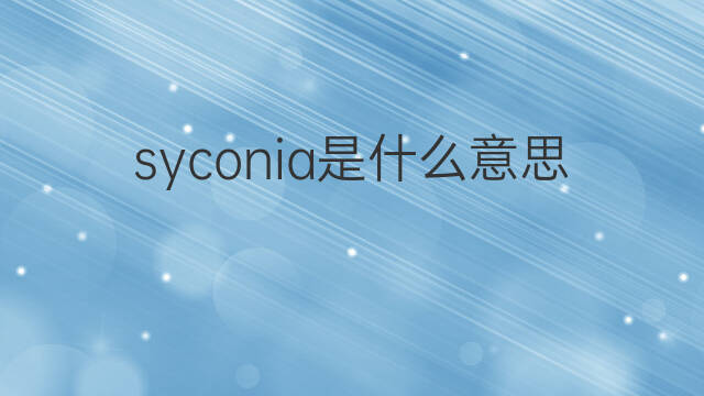syconia是什么意思 syconia的翻译、读音、例句、中文解释