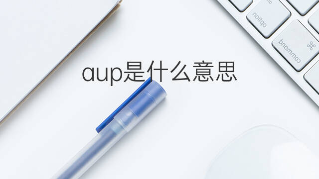 aup是什么意思 aup的中文翻译、读音、例句