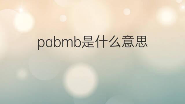 pabmb是什么意思 pabmb的中文翻译、读音、例句