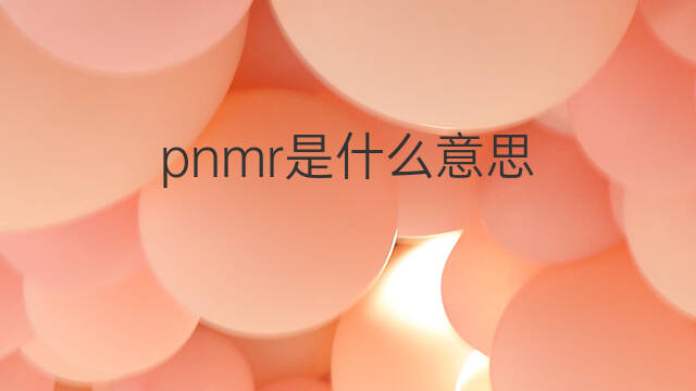 pnmr是什么意思 pnmr的中文翻译、读音、例句