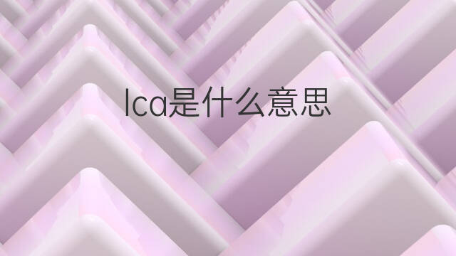 lca是什么意思 lca的中文翻译、读音、例句