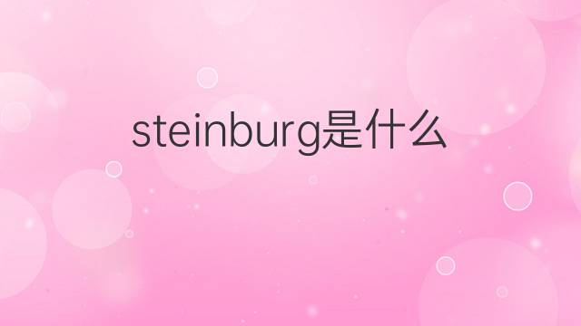 steinburg是什么意思 steinburg的翻译、读音、例句、中文解释