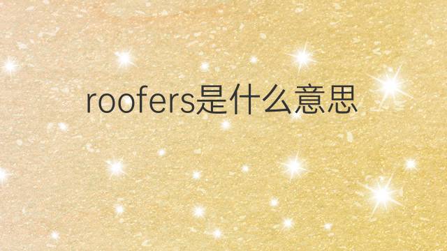 roofers是什么意思 roofers的中文翻译、读音、例句