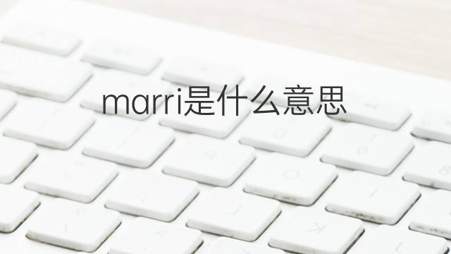 marri是什么意思 marri的中文翻译、读音、例句