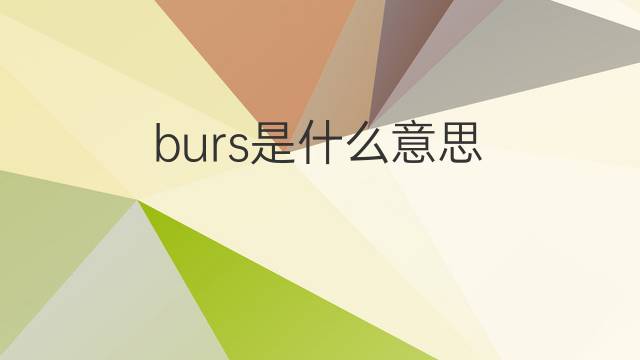 burs是什么意思 burs的中文翻译、读音、例句