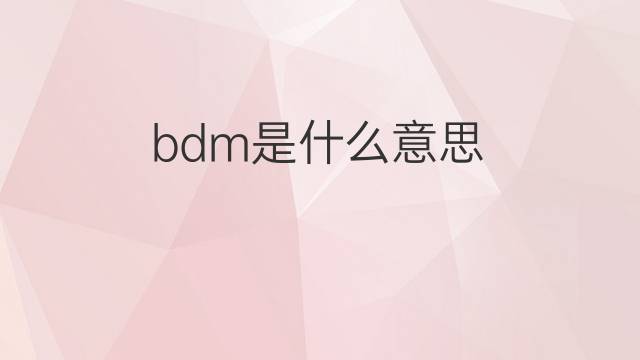 bdm是什么意思 bdm的中文翻译、读音、例句