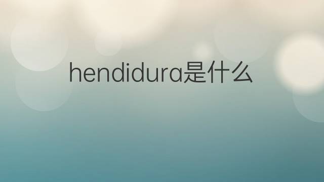 hendidura是什么意思 hendidura的中文翻译、读音、例句