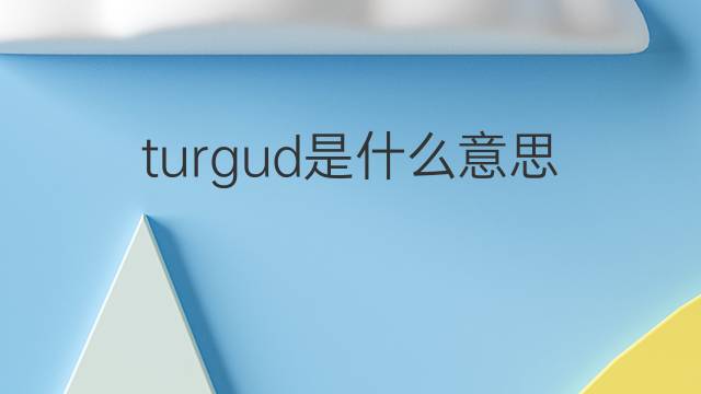 turgud是什么意思 turgud的中文翻译、读音、例句