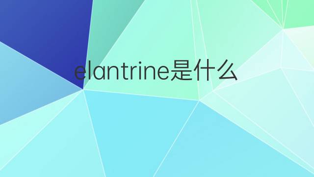 elantrine是什么意思 elantrine的中文翻译、读音、例句