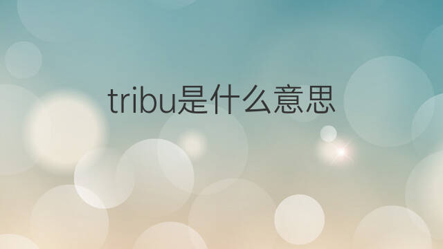 tribu是什么意思 tribu的中文翻译、读音、例句