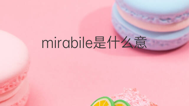 mirabile是什么意思 mirabile的中文翻译、读音、例句