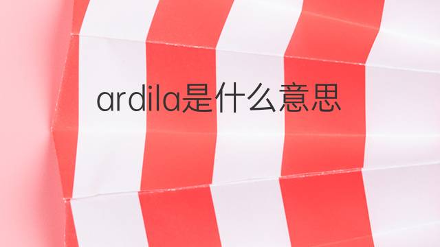 ardila是什么意思 ardila的中文翻译、读音、例句