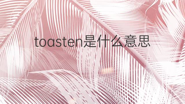 toasten是什么意思 toasten的中文翻译、读音、例句