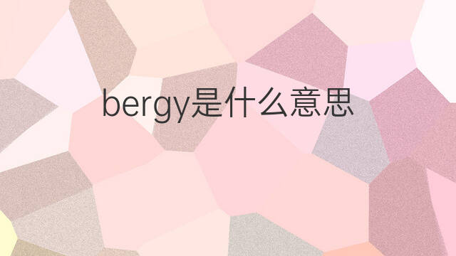 bergy是什么意思 bergy的中文翻译、读音、例句