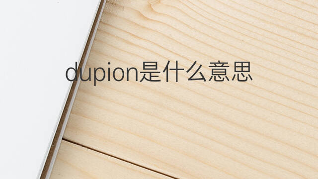 dupion是什么意思 dupion的中文翻译、读音、例句