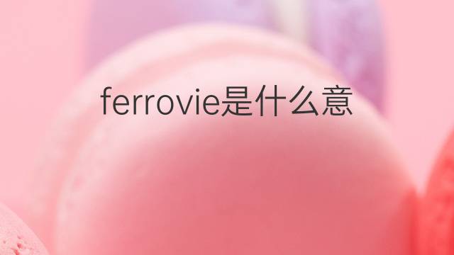 ferrovie是什么意思 ferrovie的中文翻译、读音、例句