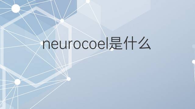neurocoel是什么意思 neurocoel的中文翻译、读音、例句
