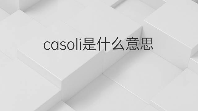casoli是什么意思 casoli的中文翻译、读音、例句